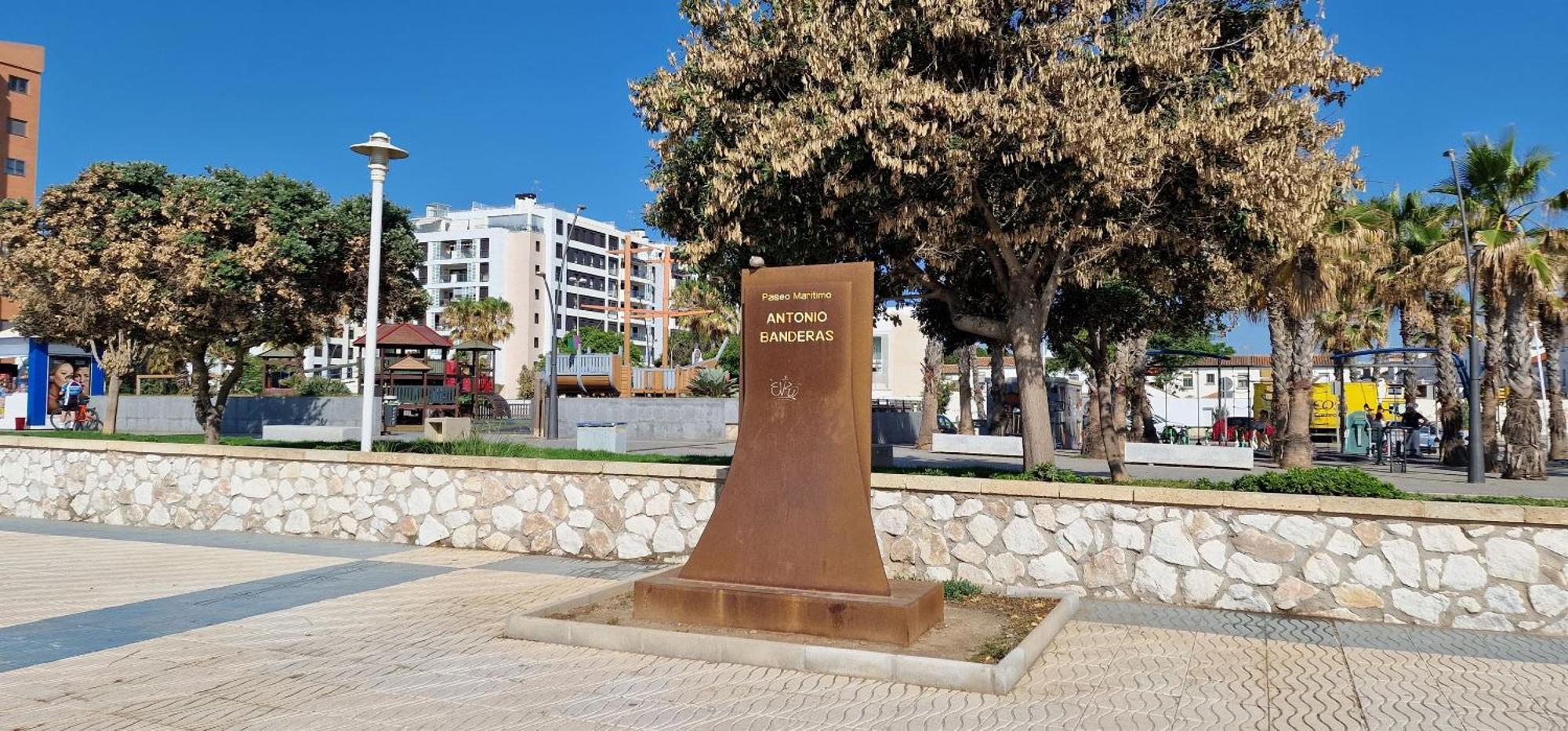 Paz Malaga