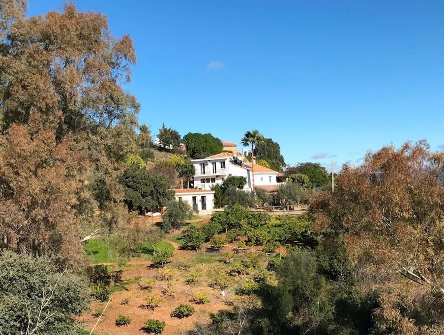 Penthouse Apartment, Cortijo Fruitful Hills Malaga