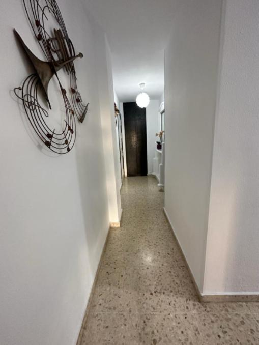 Mefistofeles Zh Apartamento