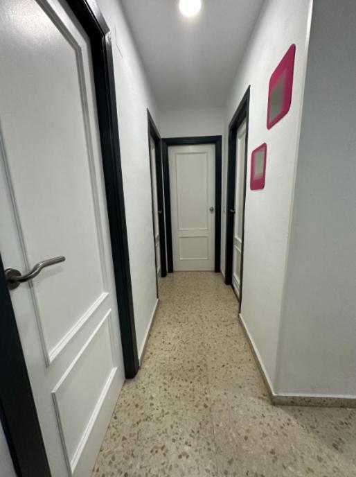 Mefistofeles Zh Apartamento *