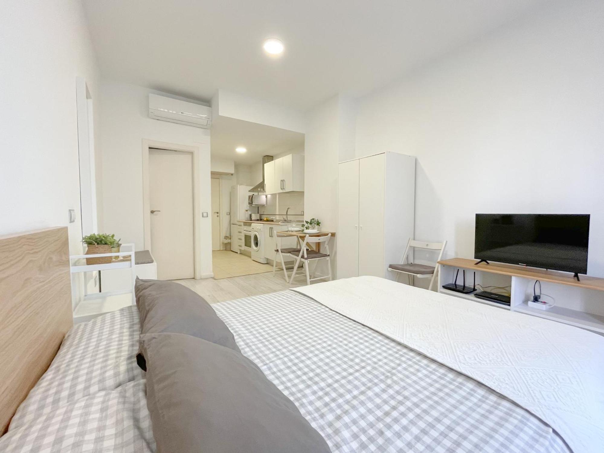 Apartamento Estudio En Centro *