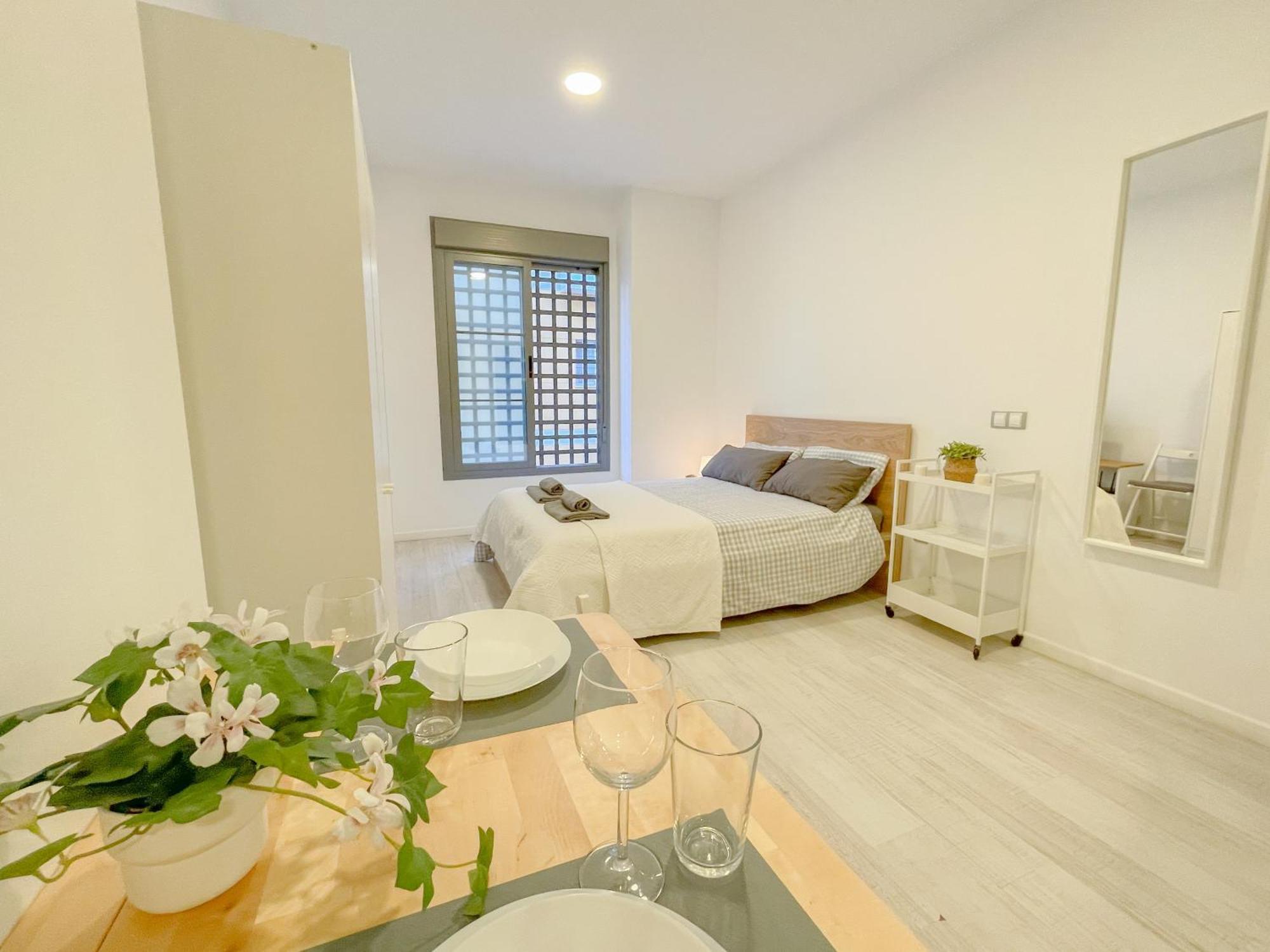 Apartamento Estudio En Centro