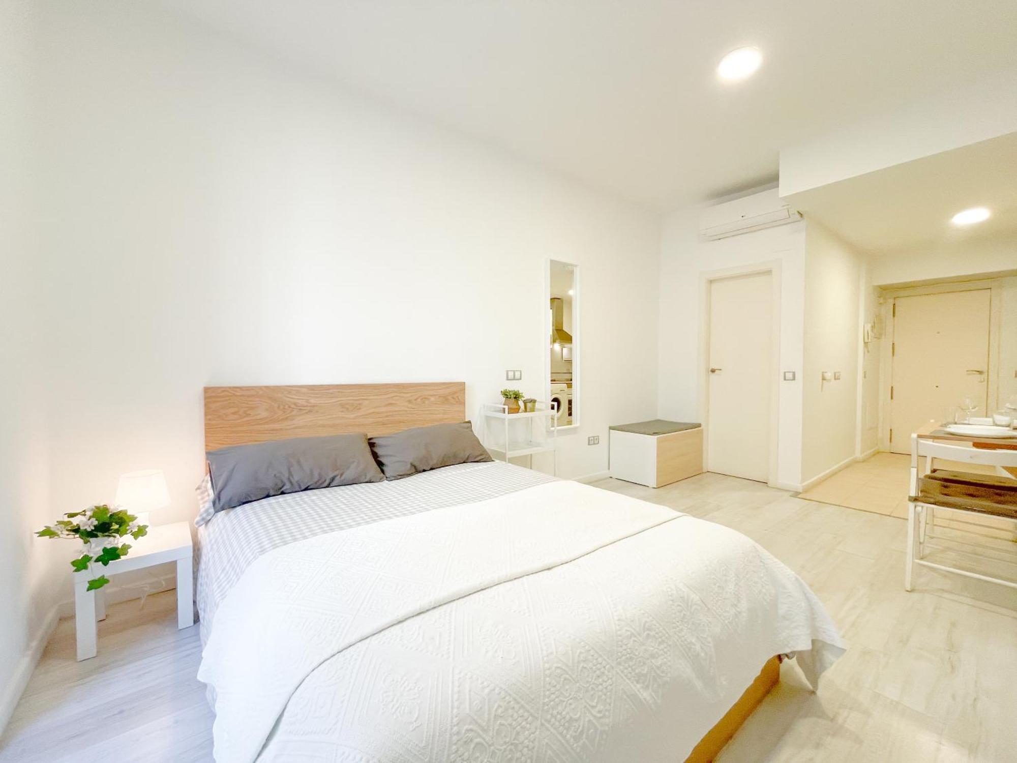 Apartamento Estudio En Centro *