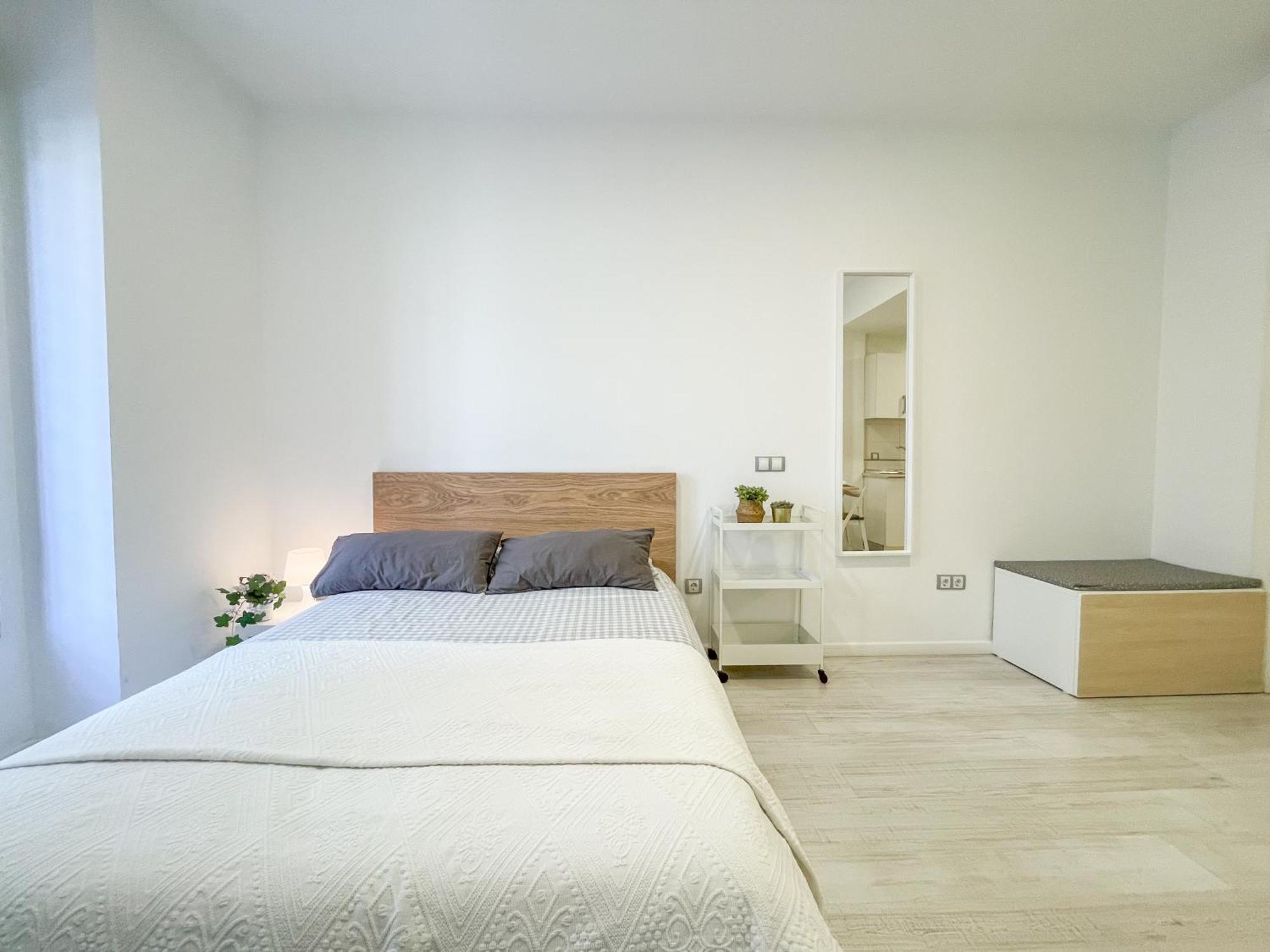 Apartamento Estudio En Centro Málaga