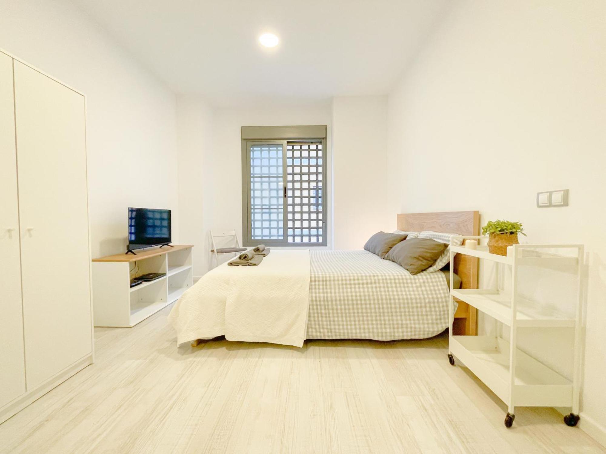 Estudio En Centro Apartamento