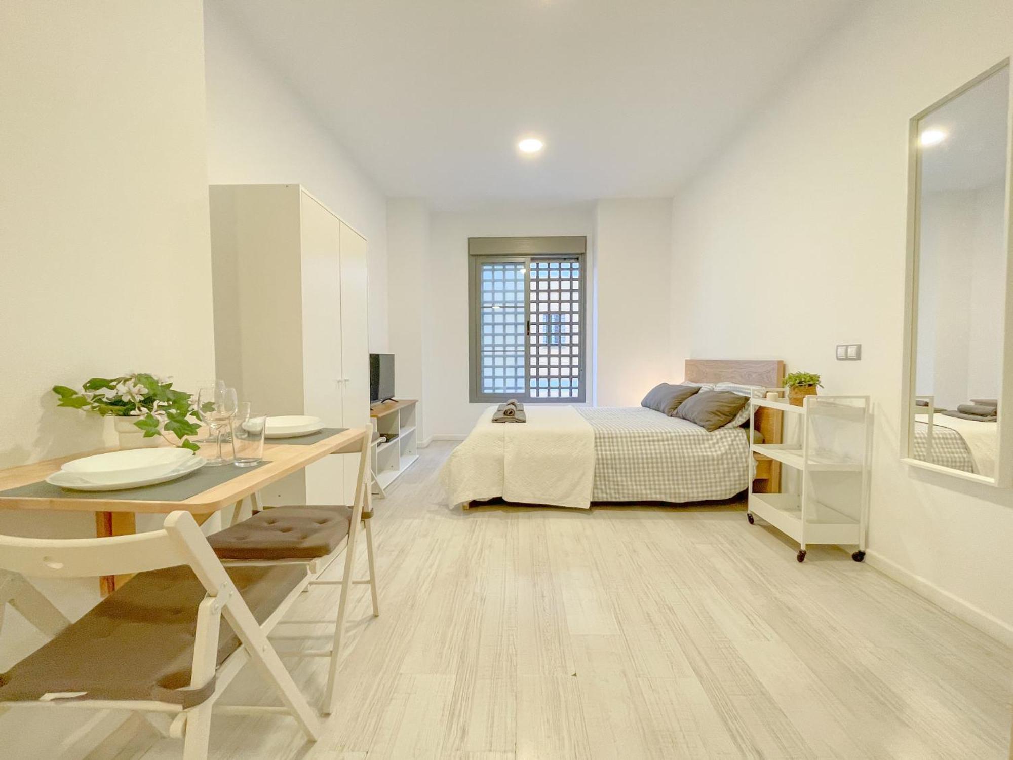 Apartamento Estudio En Centro