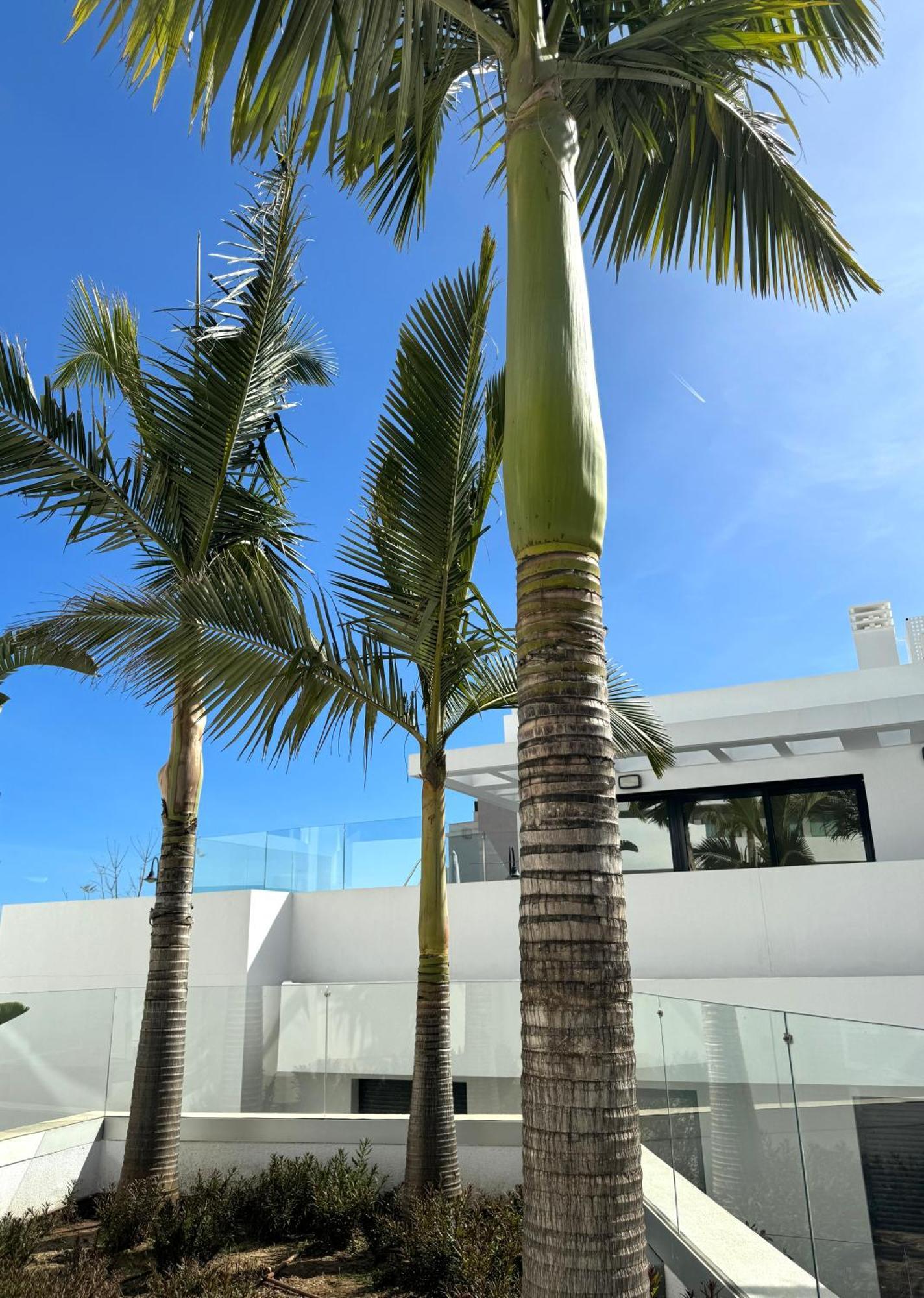 La Cala De Mijas - Dream Gardens Apartamento