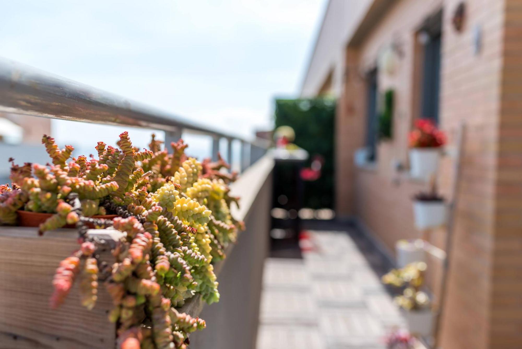 Apartamento ático Con Terraza Y Vistas, Parking Gratuito Málaga