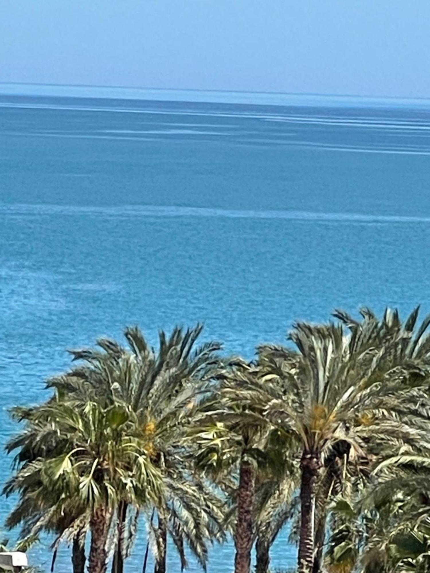 La Paloma - Giron