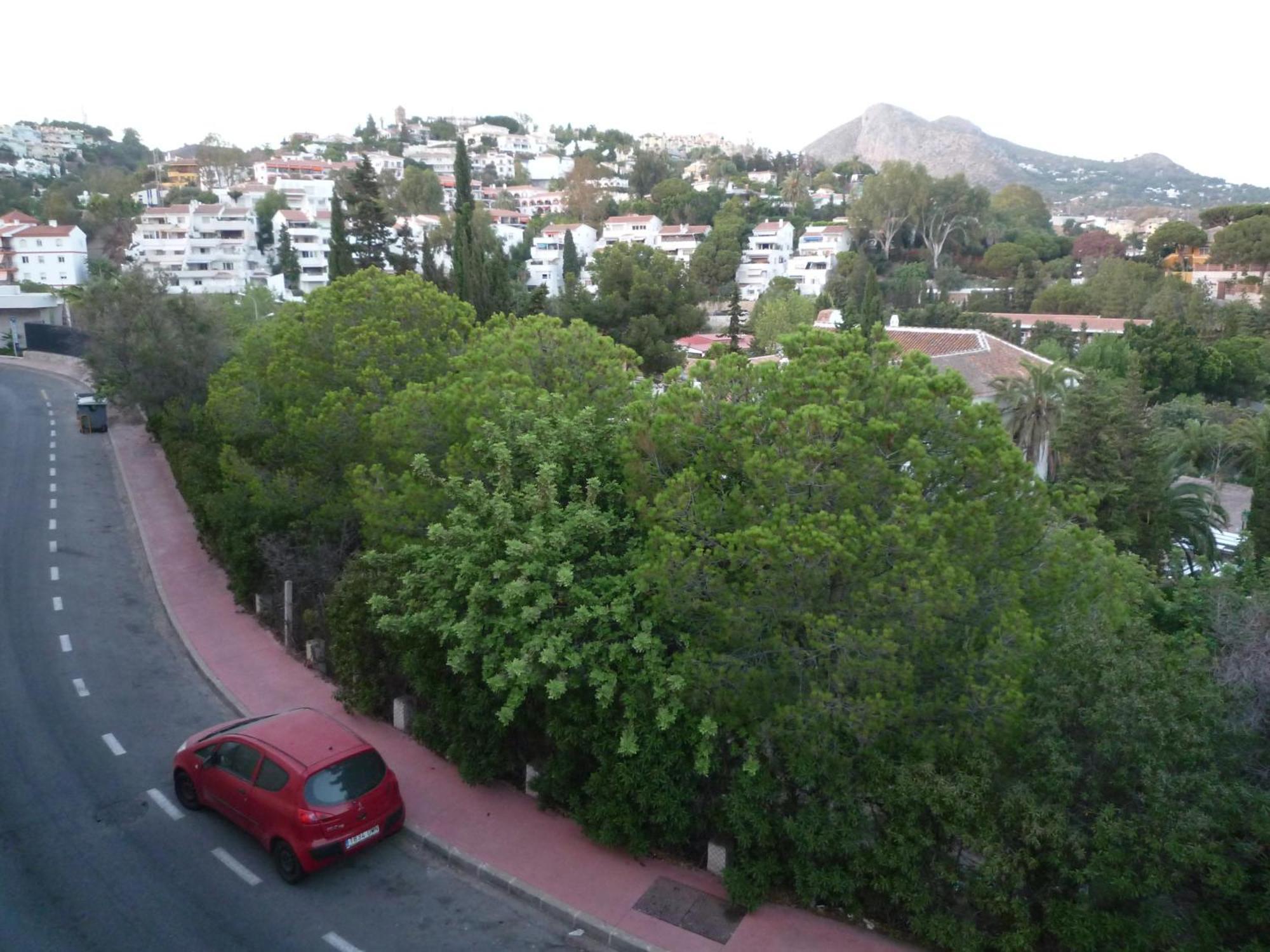 Apartamento Flamencos Del Cerrado