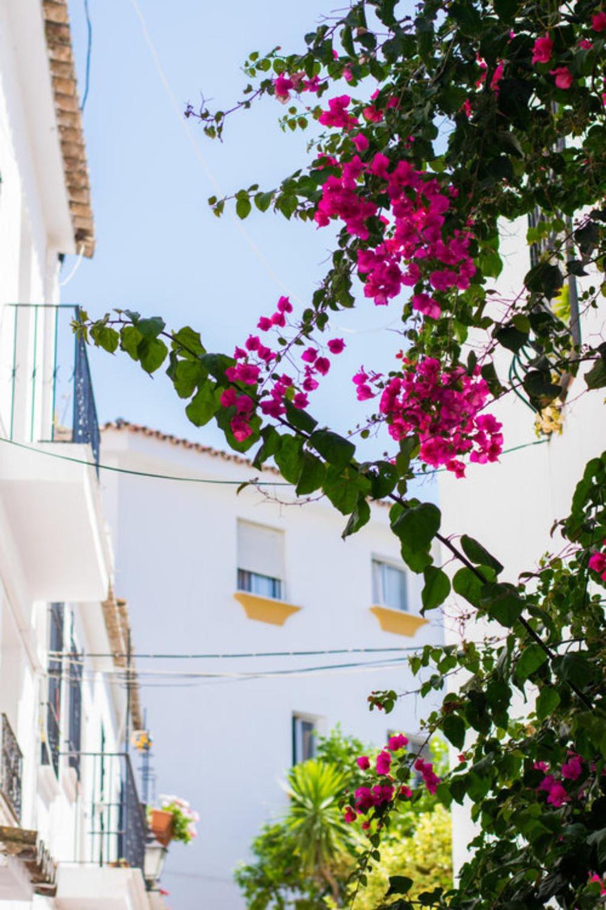 Superior 3br Golfla Minutes From Puerto Banus & Marbella