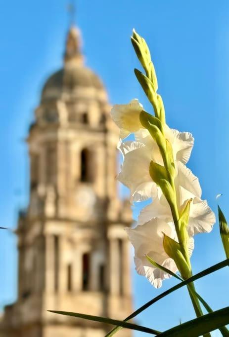 Apartamento Loft Haven Málaga