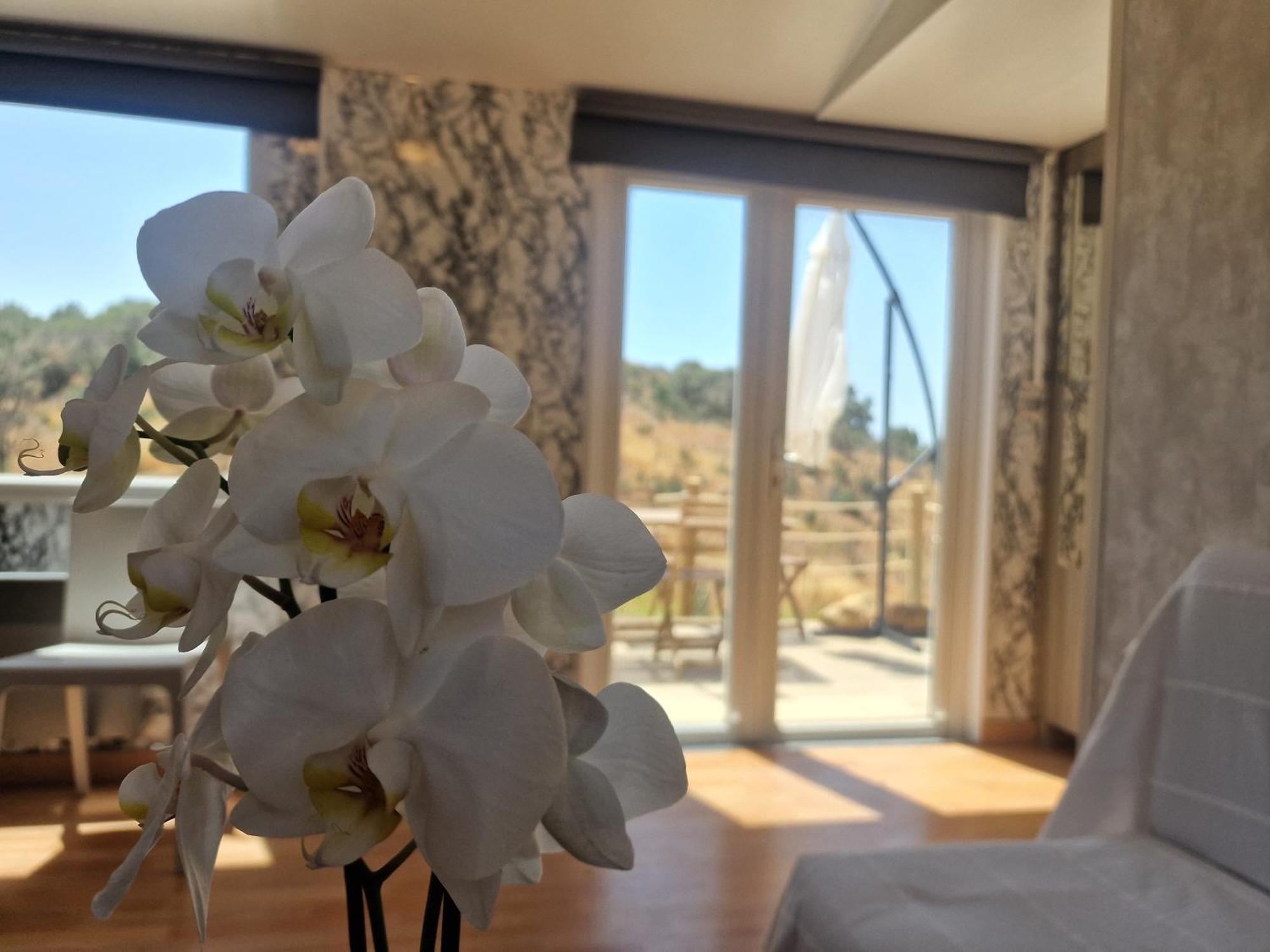 Aa Guest - La Roza Eco Mobile Mijas Costa Сasa de vacaciones *