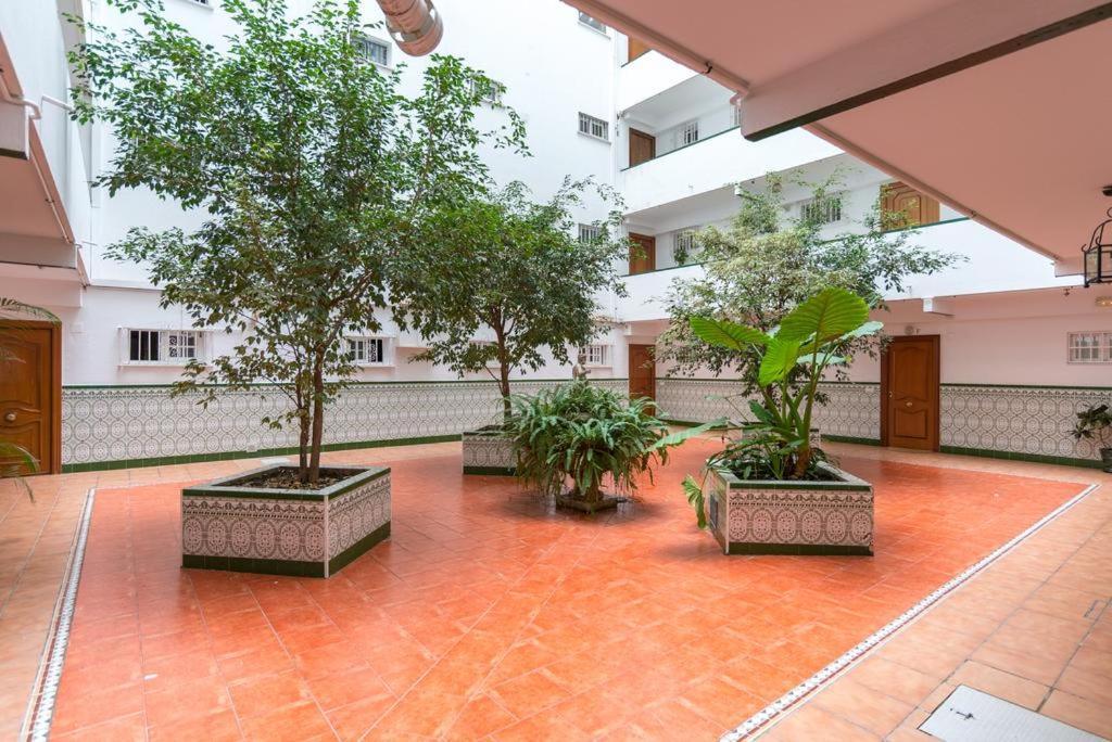 Apartamento Flamingo *
