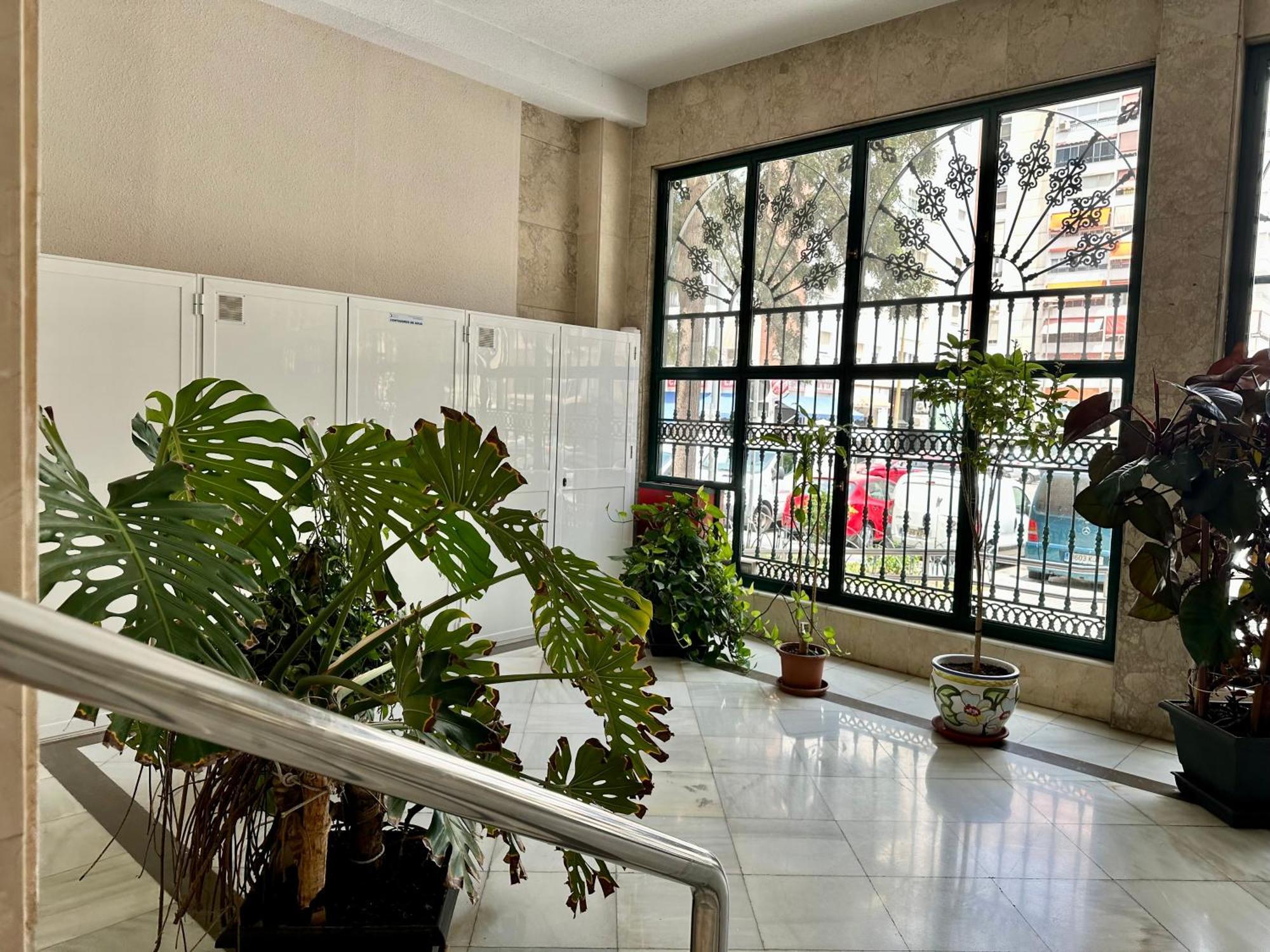 Apartment Muy Centrico E Ideal Para Parejas O Teletrabajo