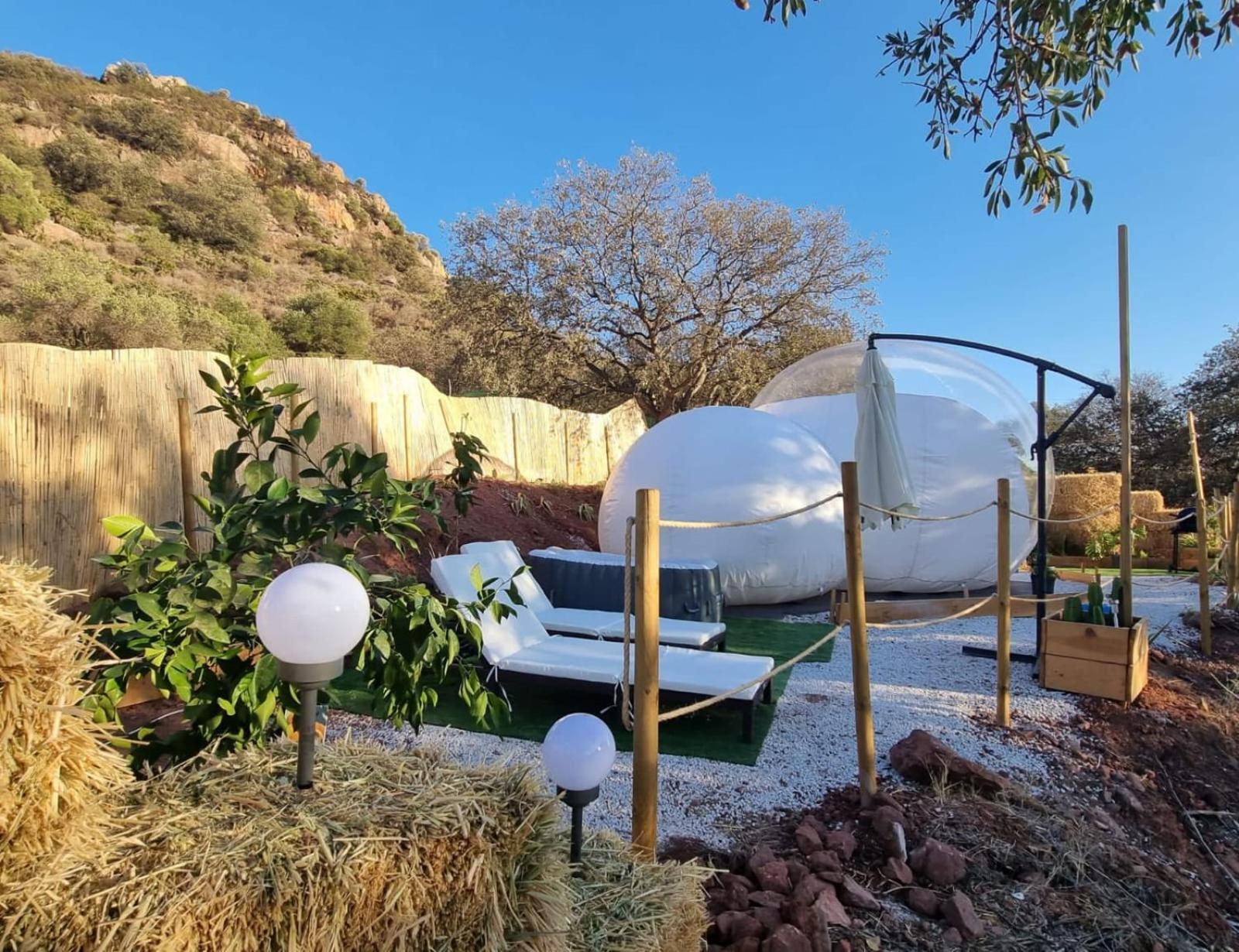 Luxury tent Glamping Burbuja Almendros *
