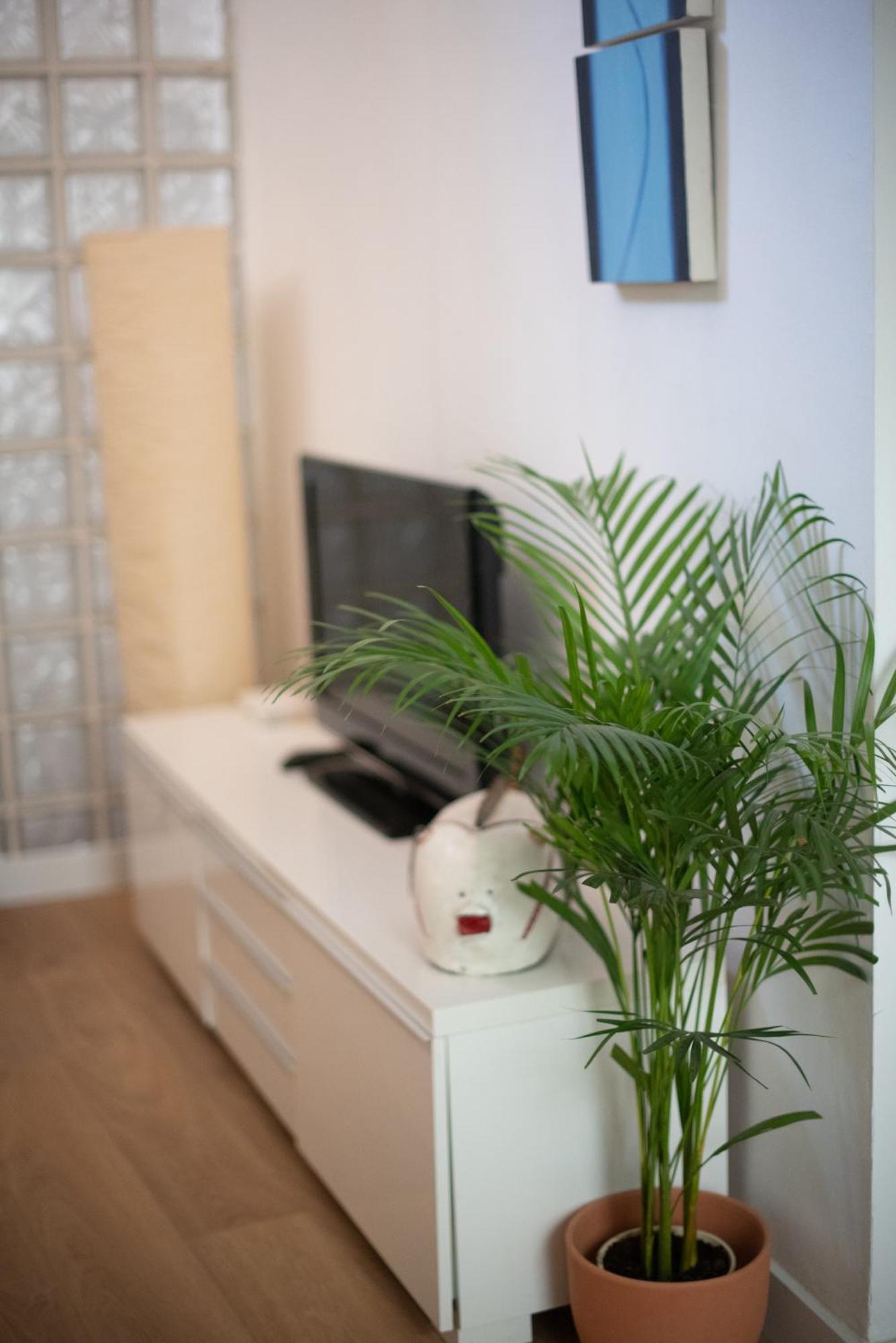 Cozy & Quiet In The Center Apartamento Málaga