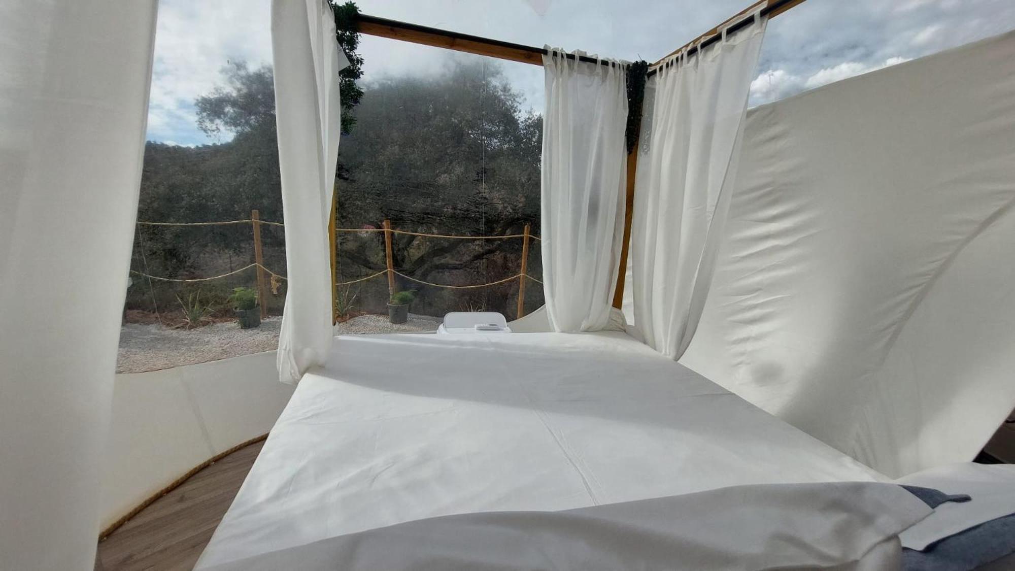 Glamping Burbuja Almendros Malaga