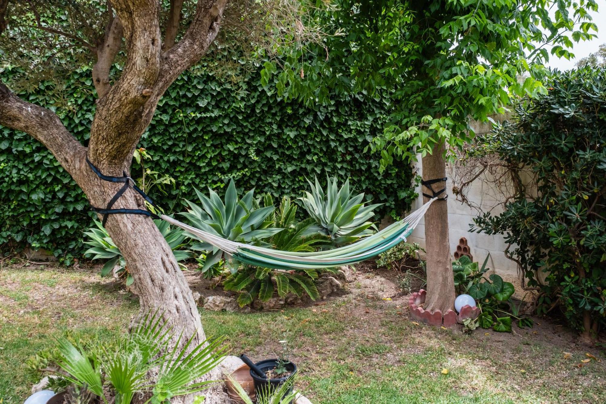 Con Terraza Y Amplio Jardín Privado *