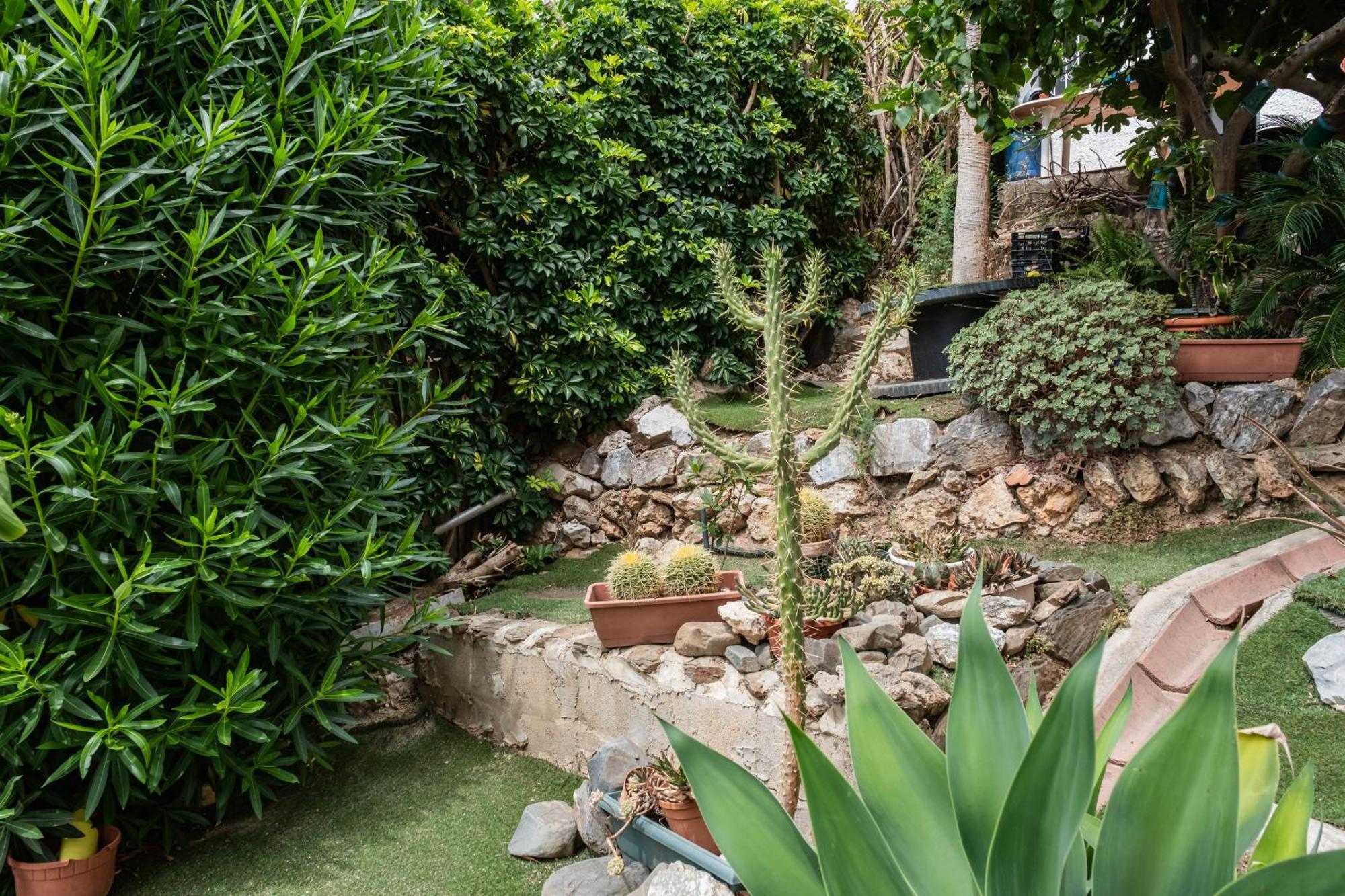 Con Terraza Y Amplio Jardín Privado Apartamento Málaga