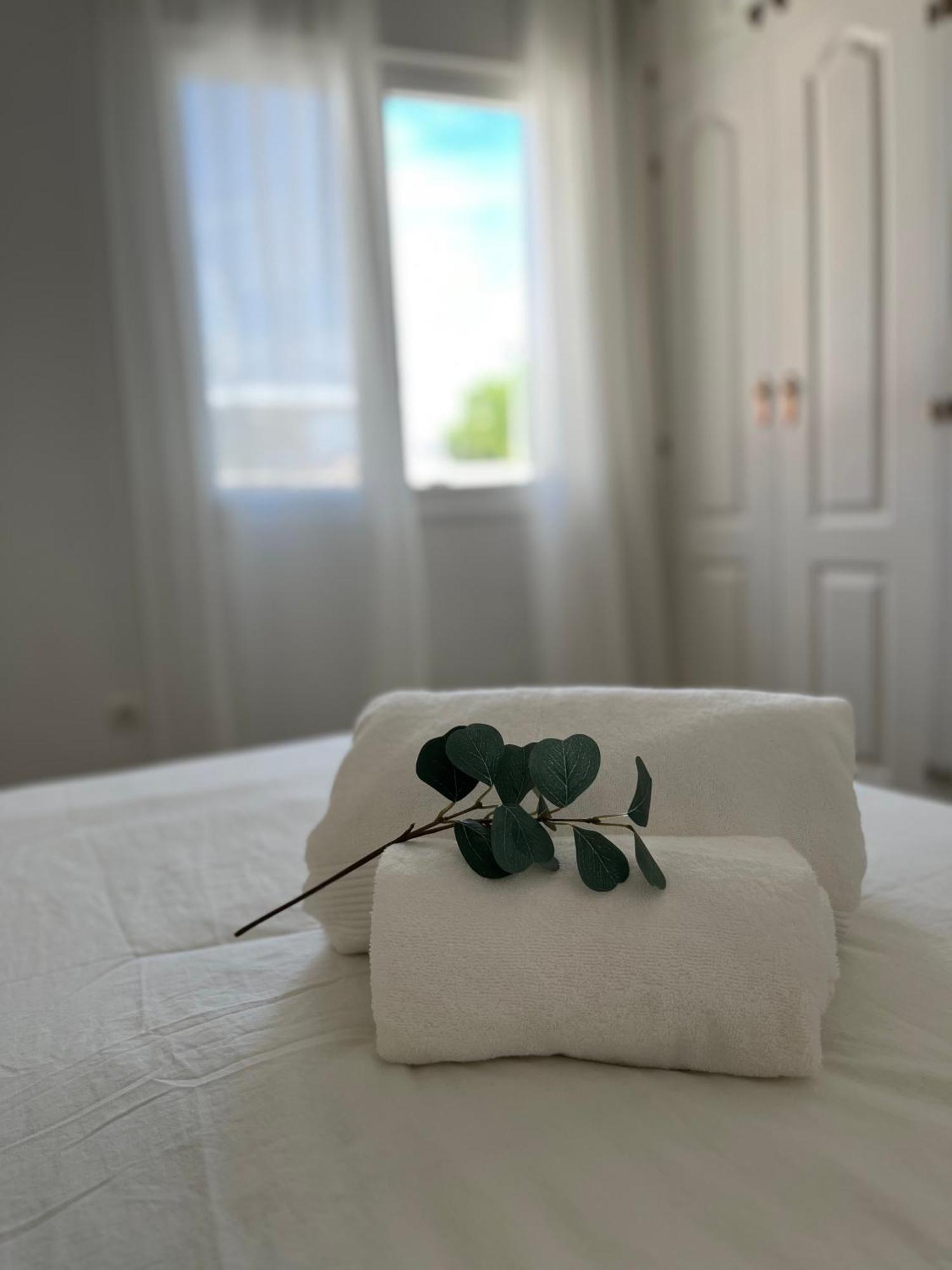Prime Location - Stylish With Free Wifi, Free Parking, Steps From The Historic Center Apartamento Málaga