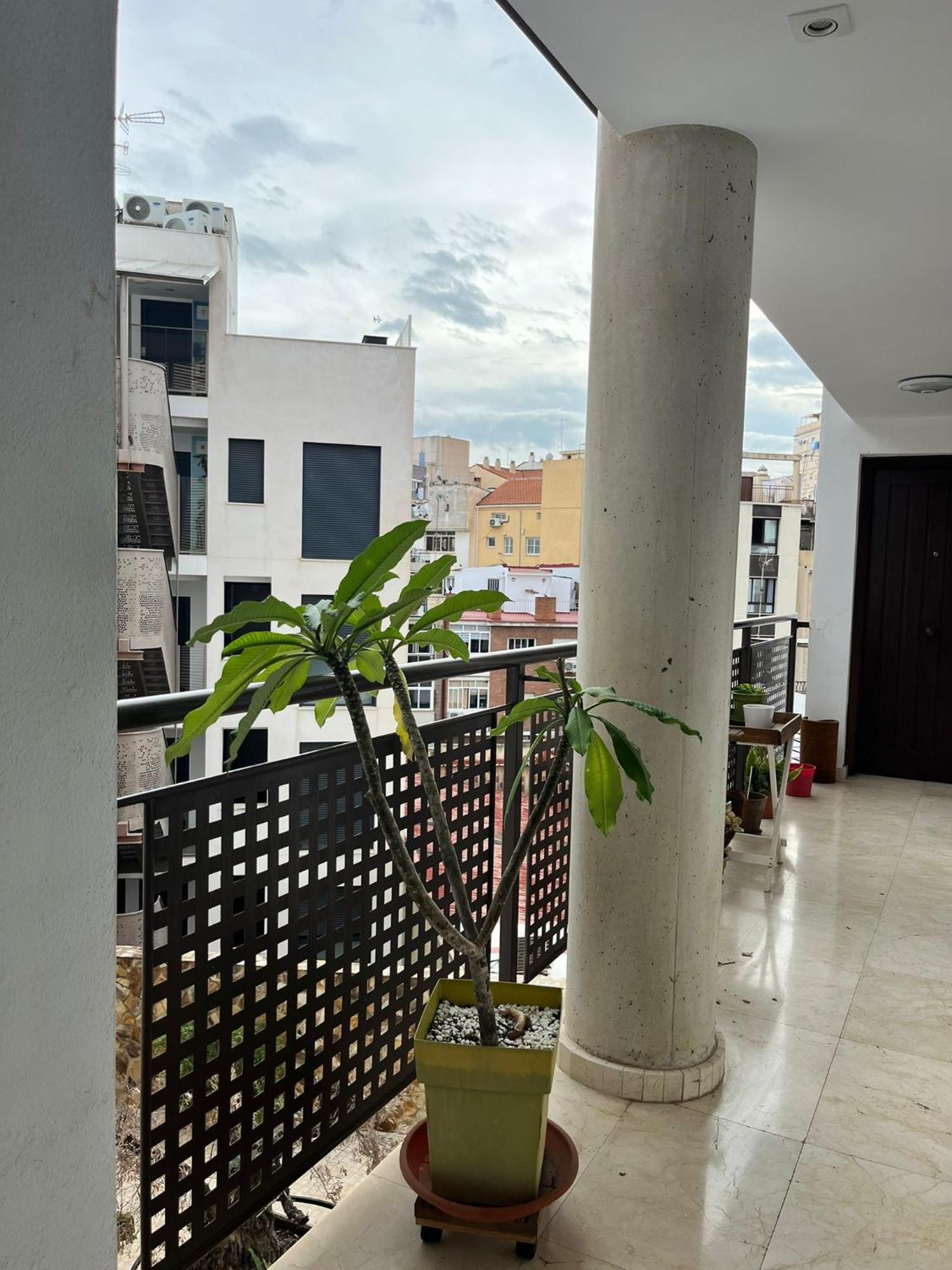 Apartamento El Torcal Luxury With Free Parking