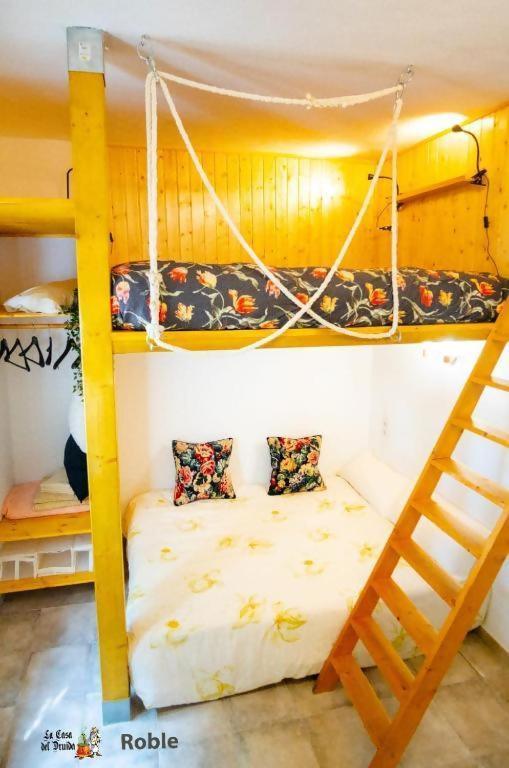 La Casa Del Druida Ii Apartamento *