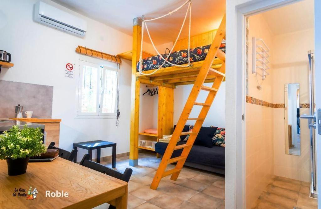 La Casa Del Druida Ii Apartamento