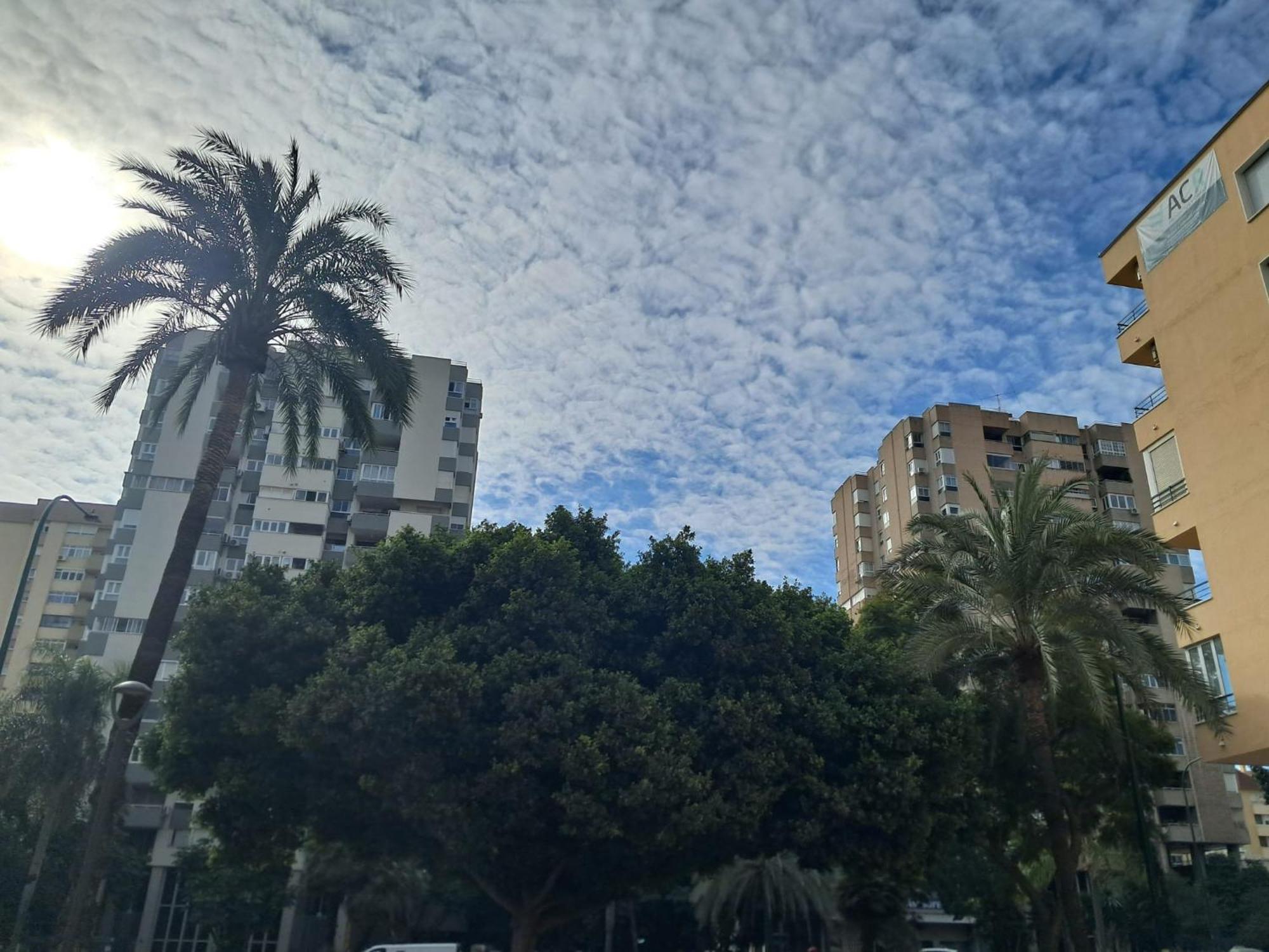 Apartamento Apartment, Avenida Andalucia