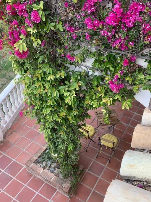 Villa Casa Hermosa Mijas- 7 Bedroom Villa-sleeps 14 *