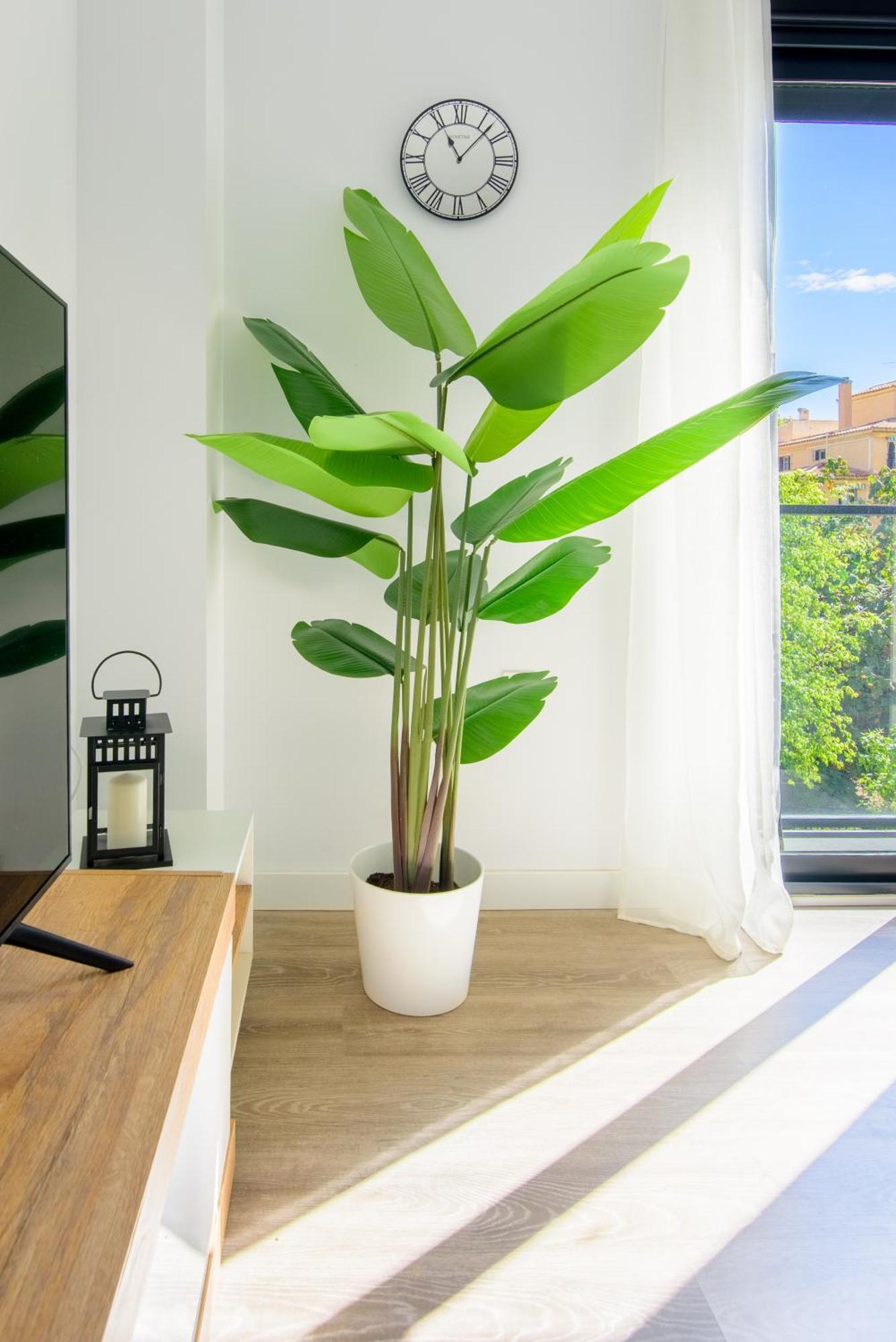 Wintowinrentals Twin Charm Centro, Encanto Y Confort Junto Al Casco Antiguo Apartamento