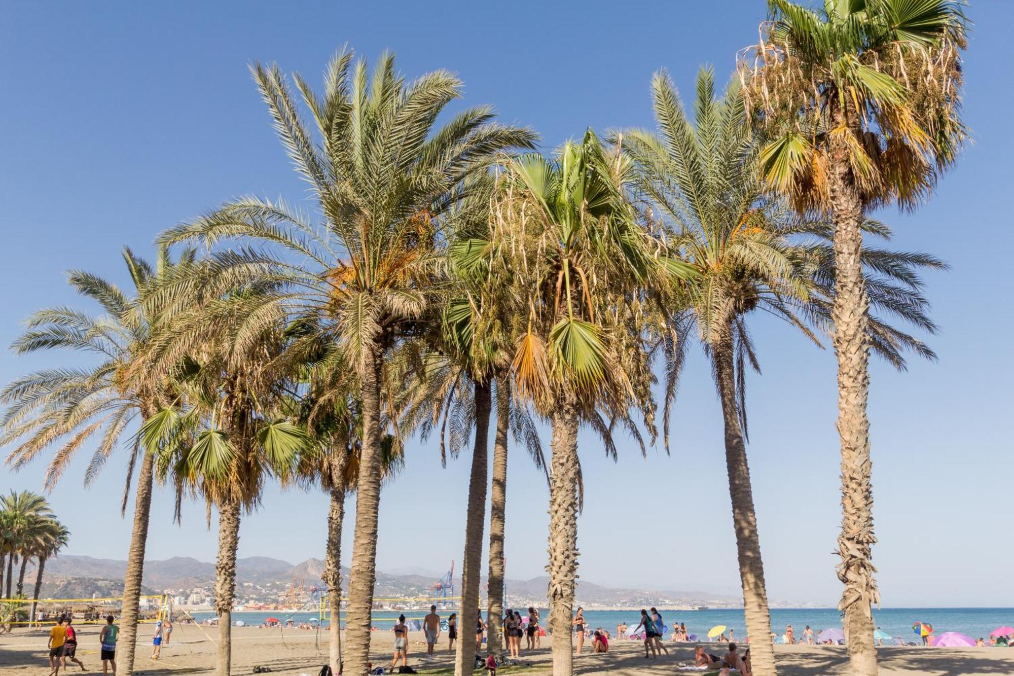 Estudio A 200 Metros De La Playa Apartamento Málaga