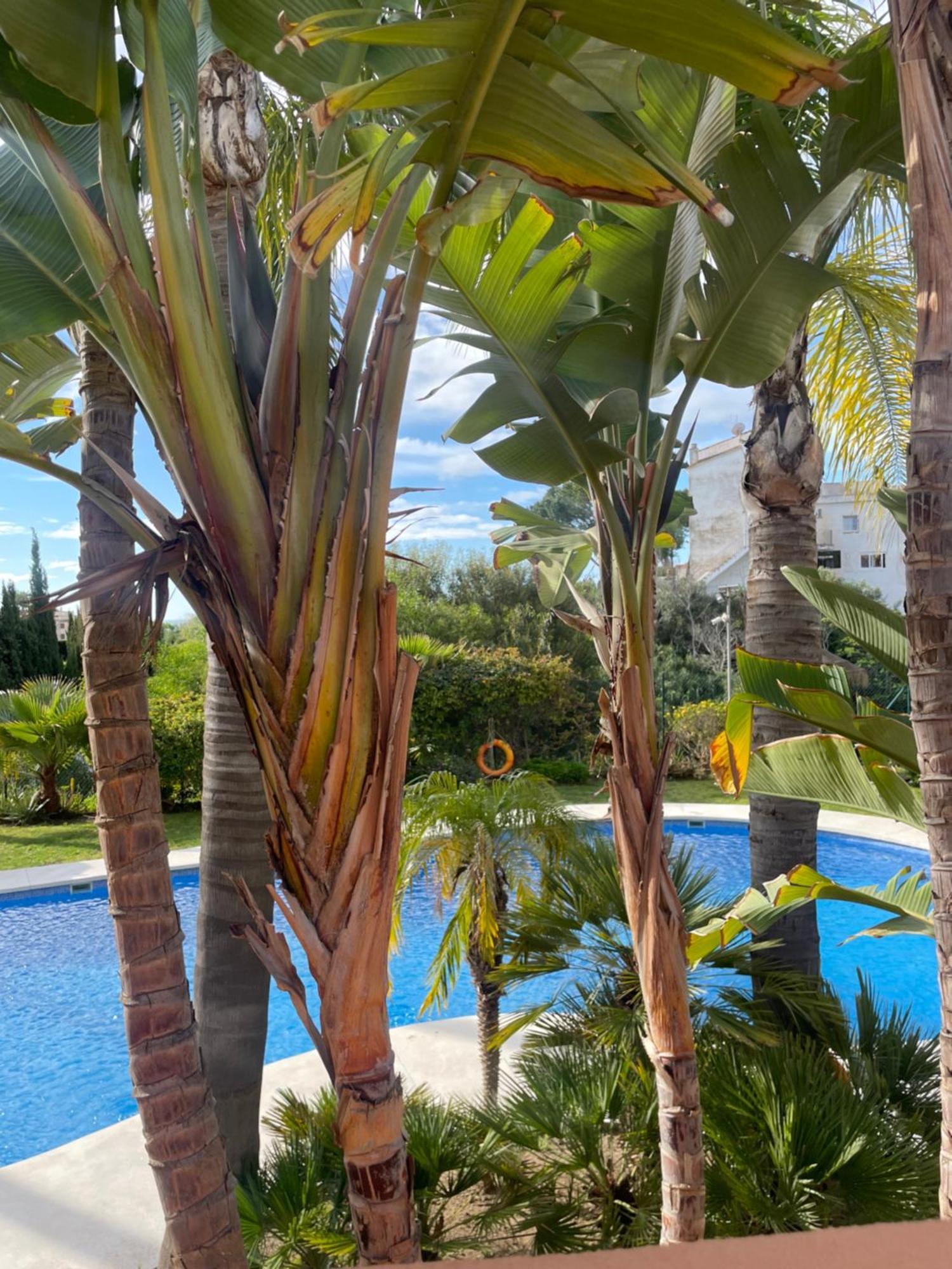 Andalusie
