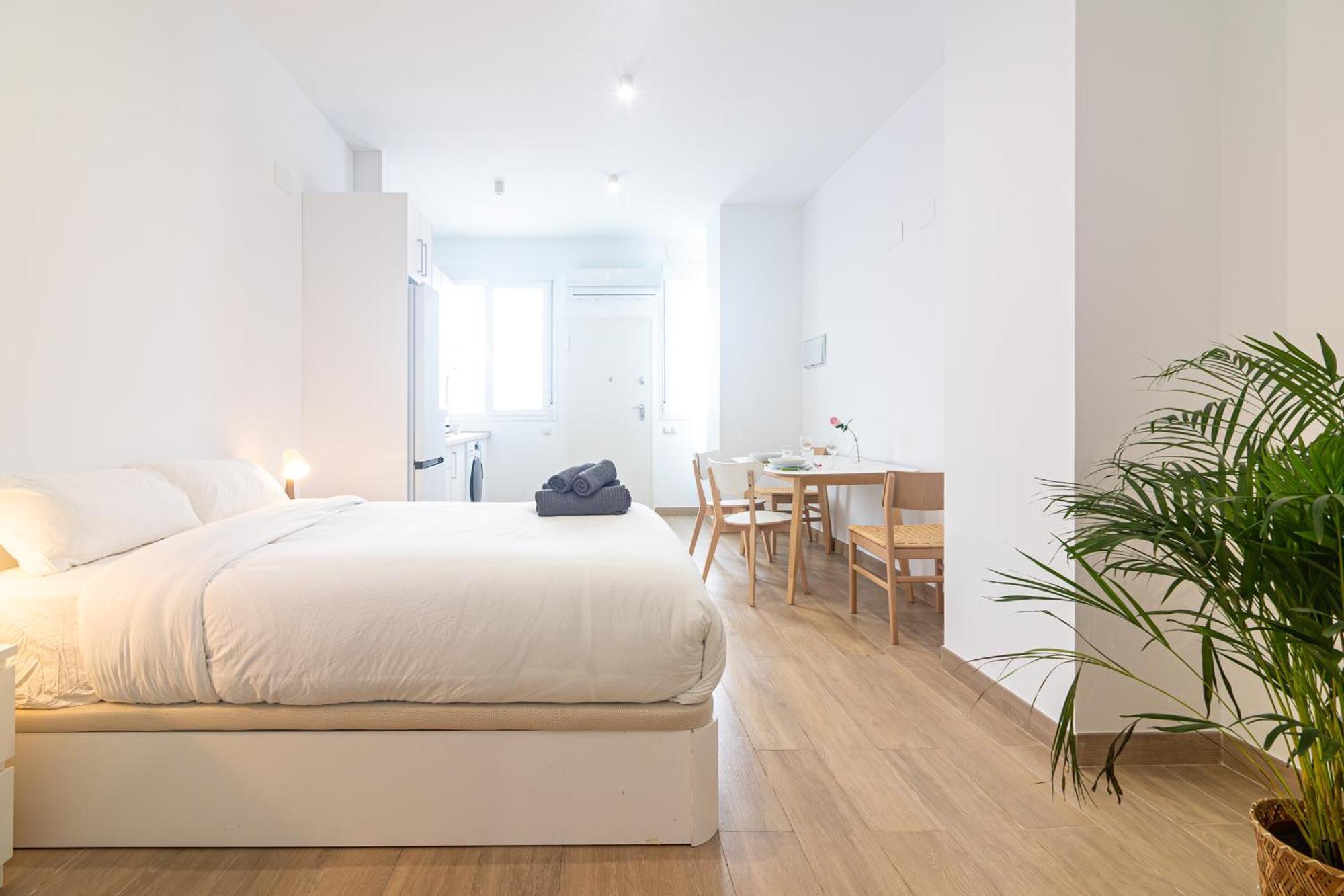 Apartamento Estudio Huelin Playa