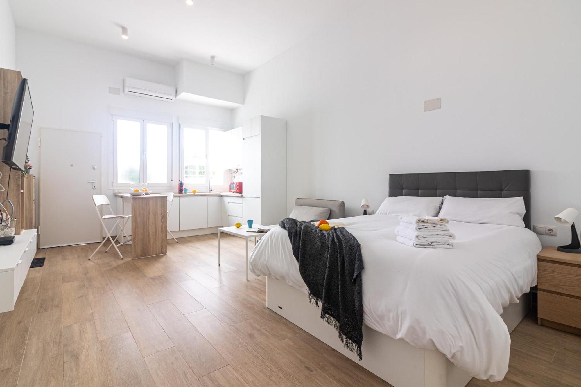 Apartamento Estudio Huelin Playa
