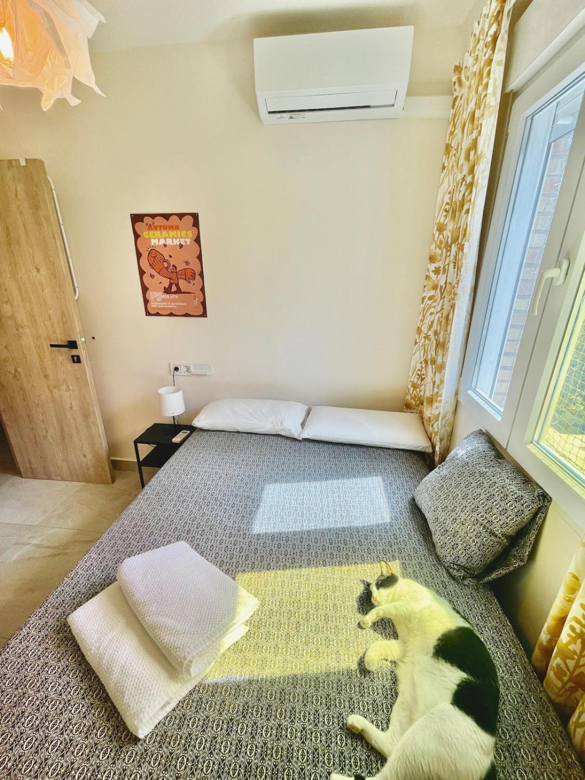 A Tiny Bright Space - Shared With 2 Cats *