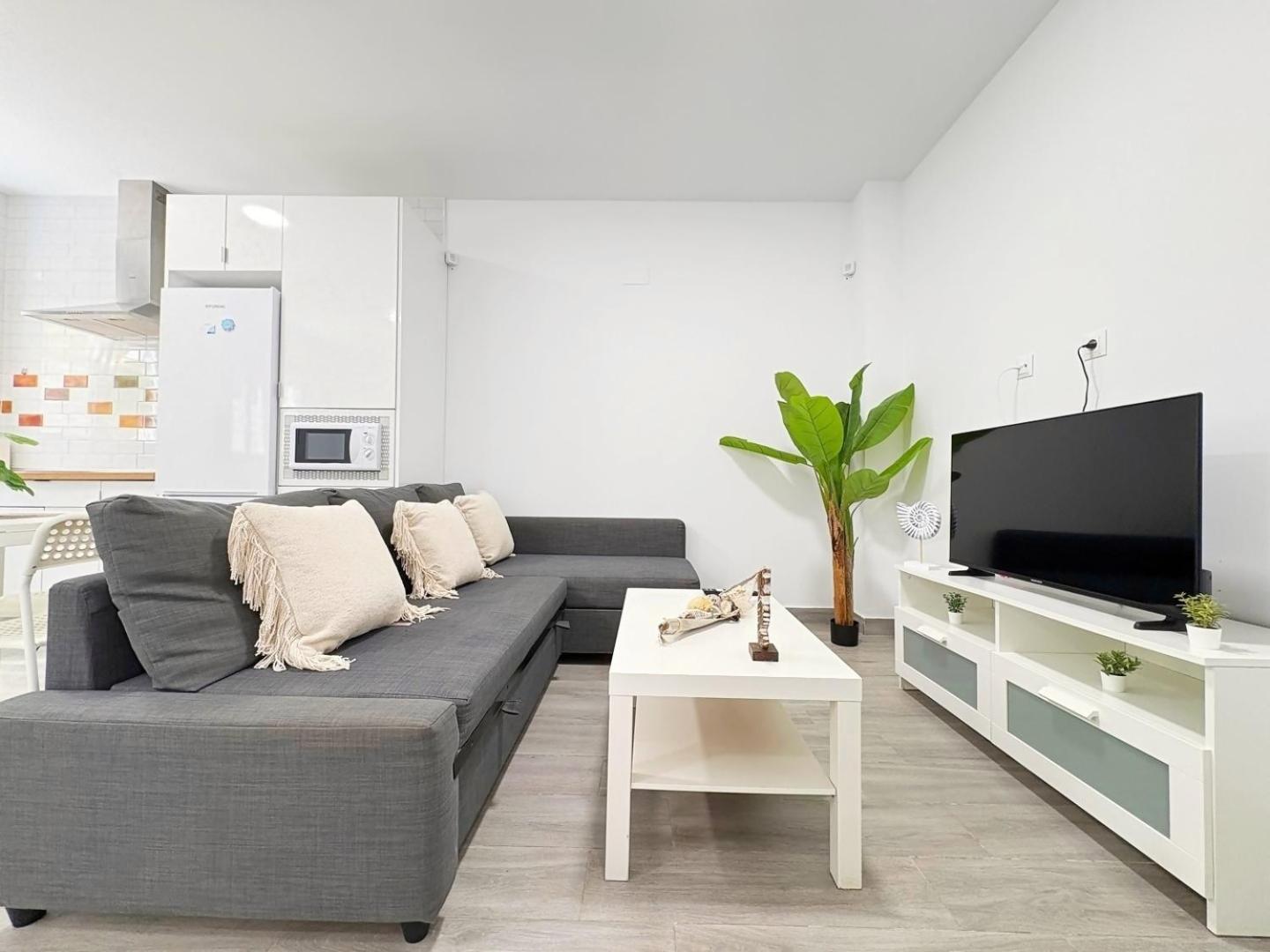 La Paloma B - En Apartamento
