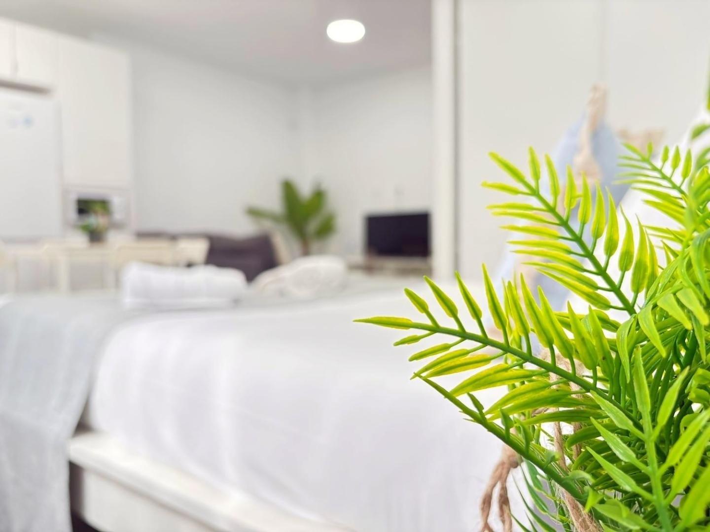 La Paloma B - En Apartamento Málaga