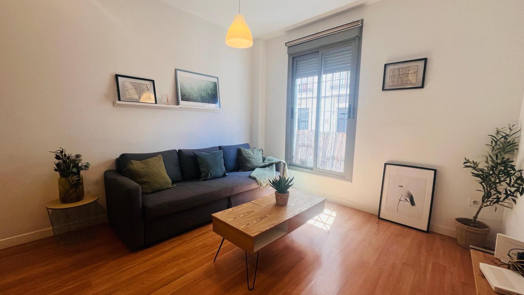 Apartamento Plaza Montaño *