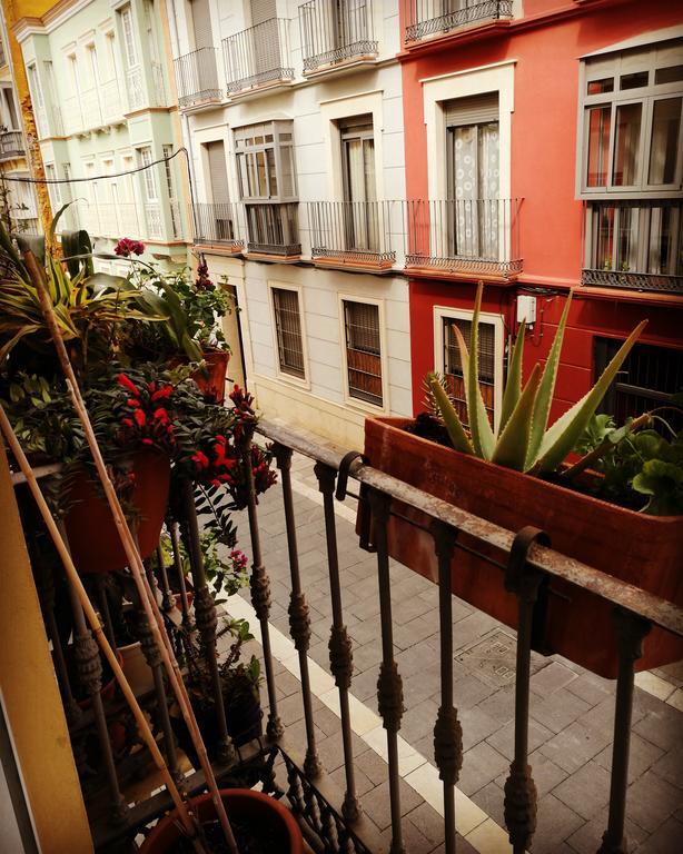 Montaño17 Apartamento