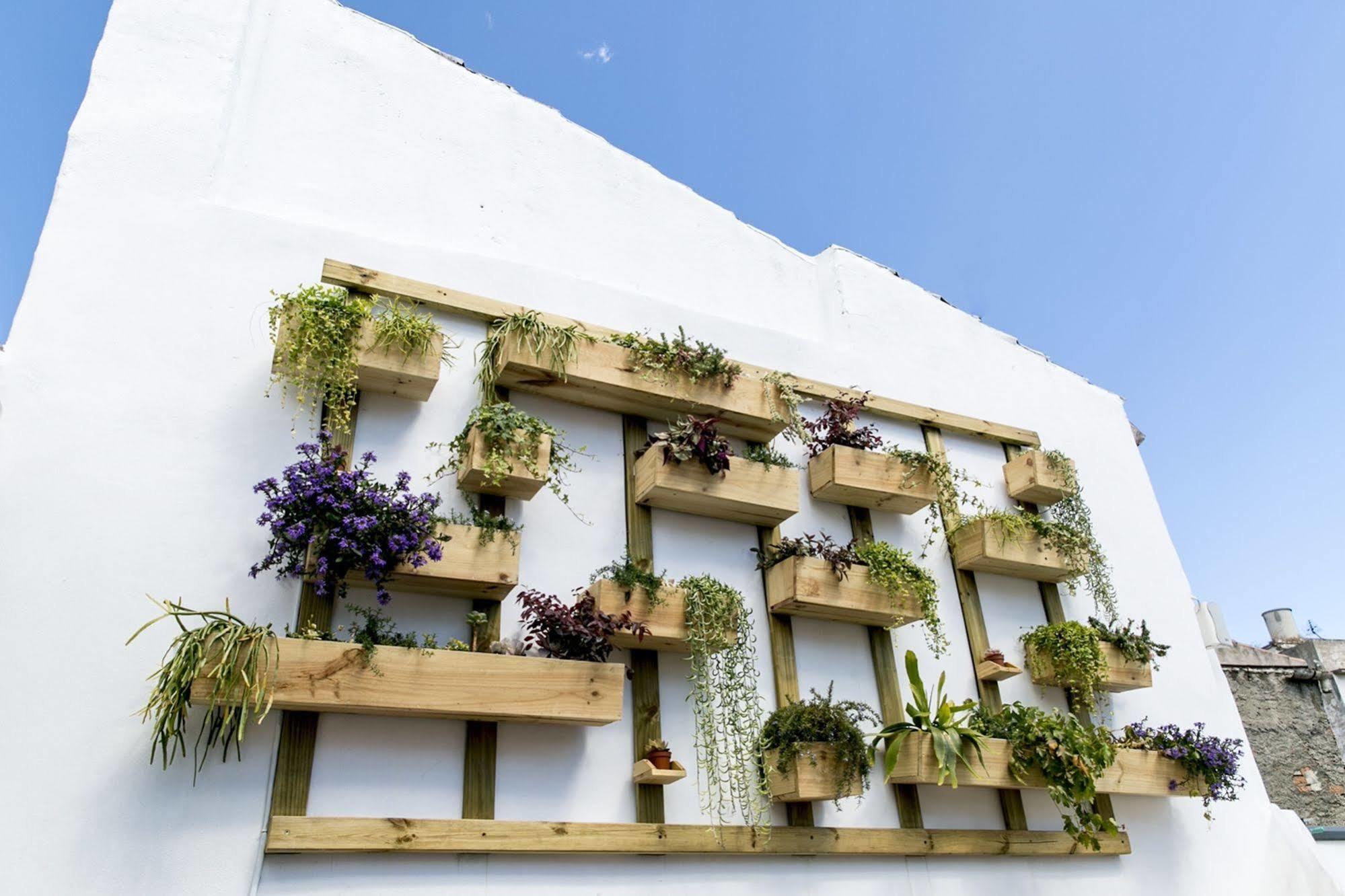 Hostel Chinitas Urban Malaga