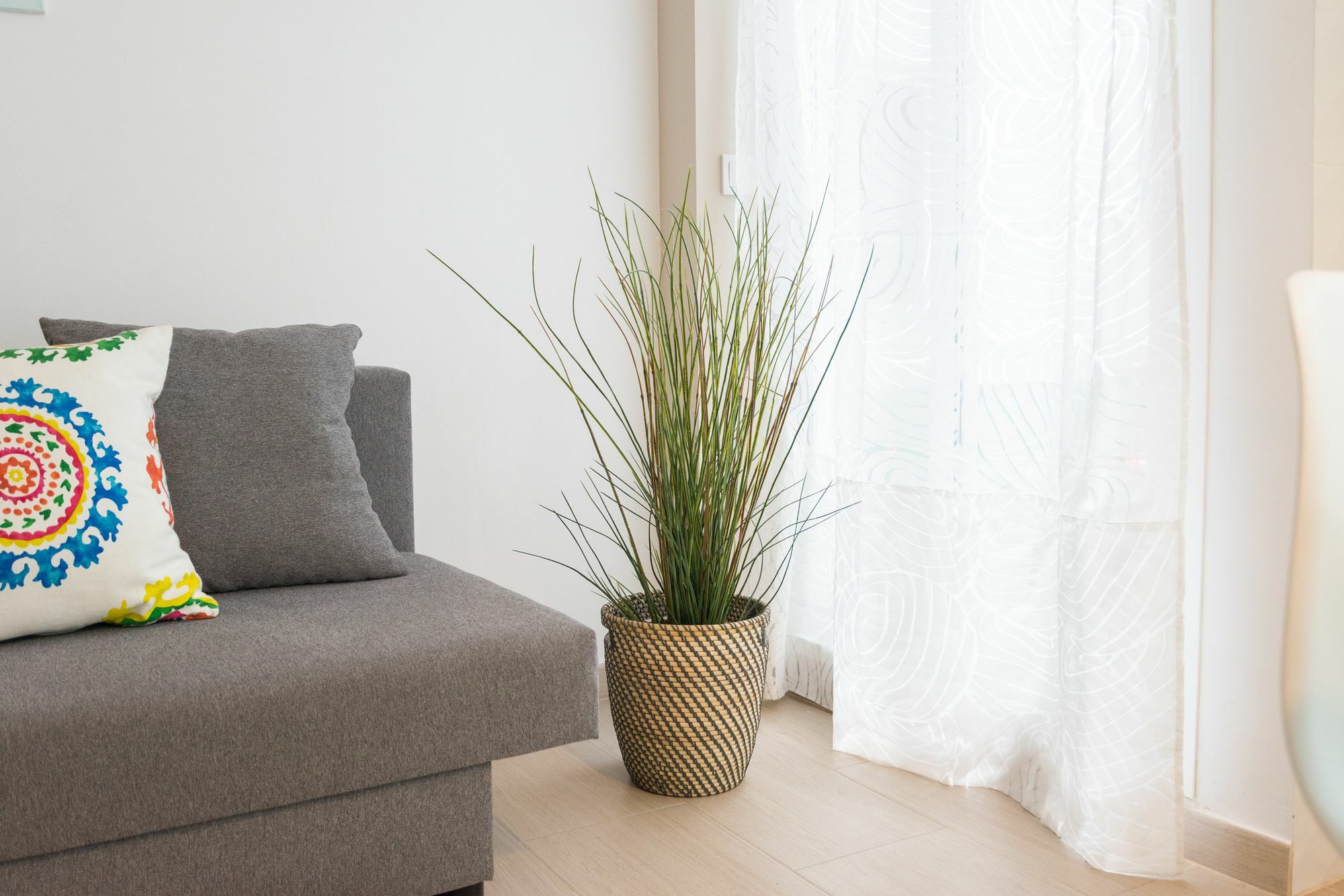 Beautiful & Cozy Apartamento *