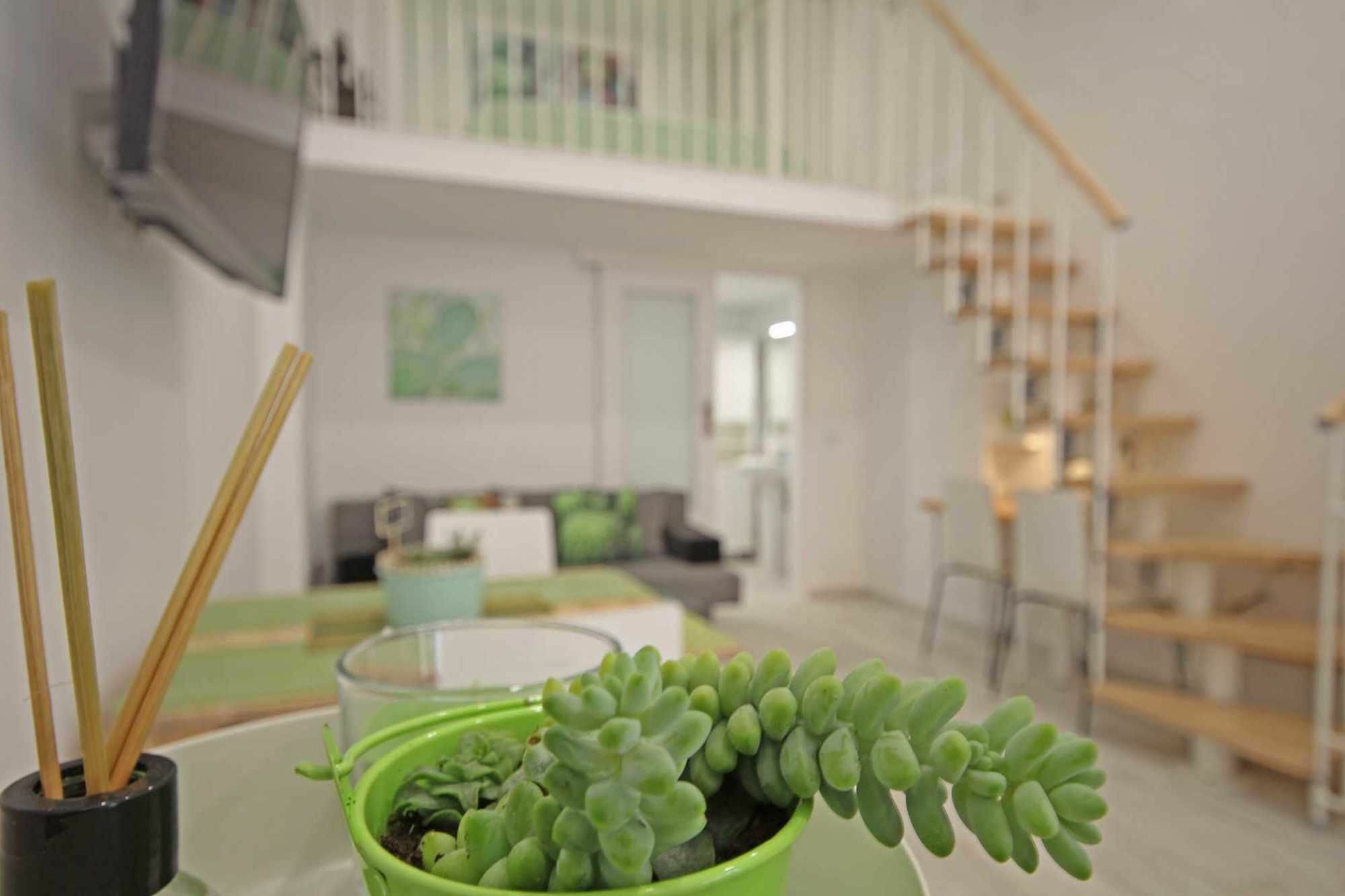 Cactus Apartamento *