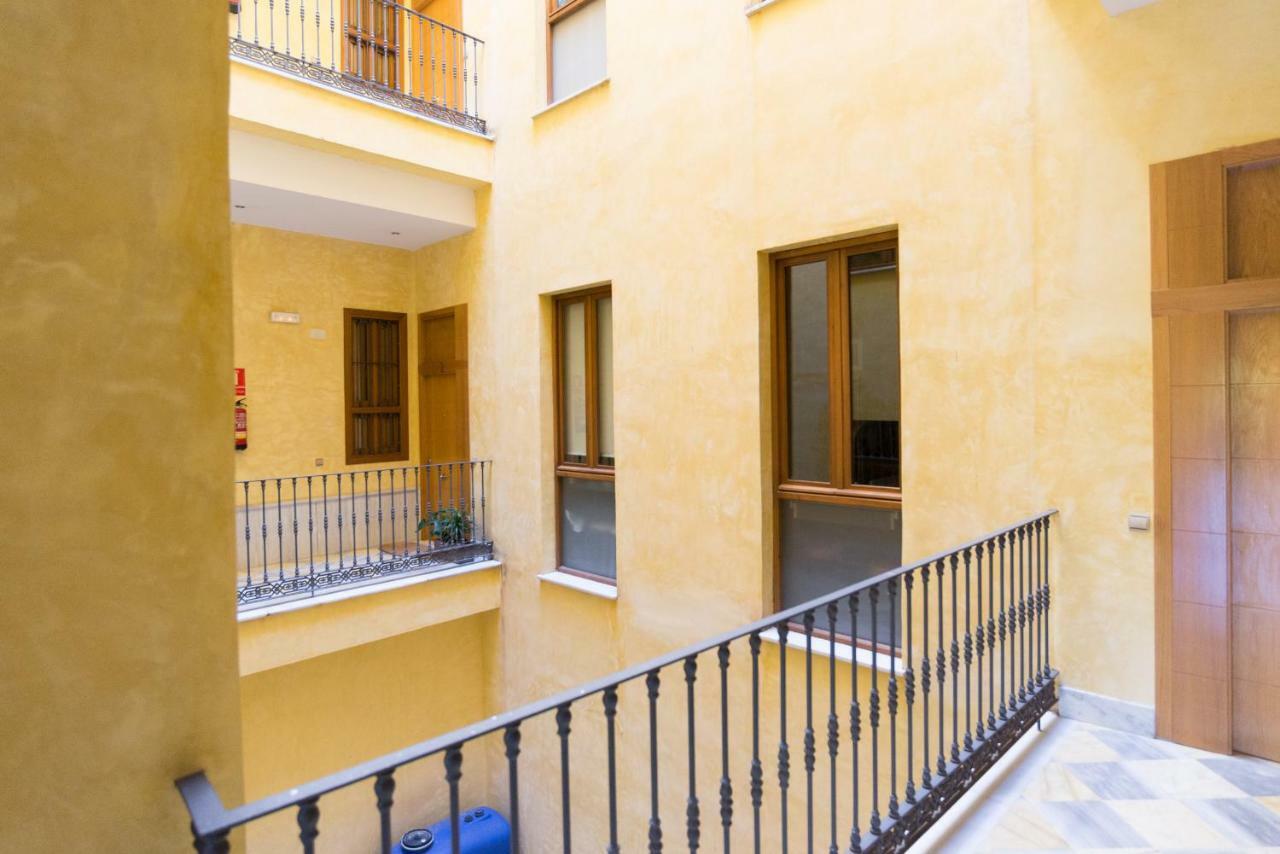 Lu&cia Picasso Málaga
