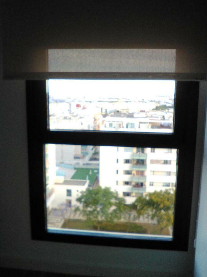 Teatinos *