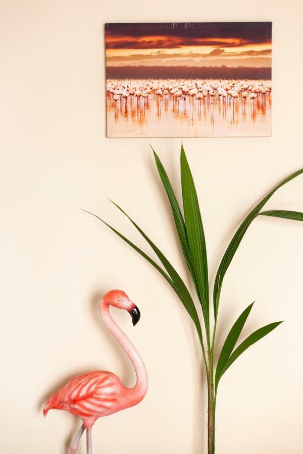 Flamingo Apartamento