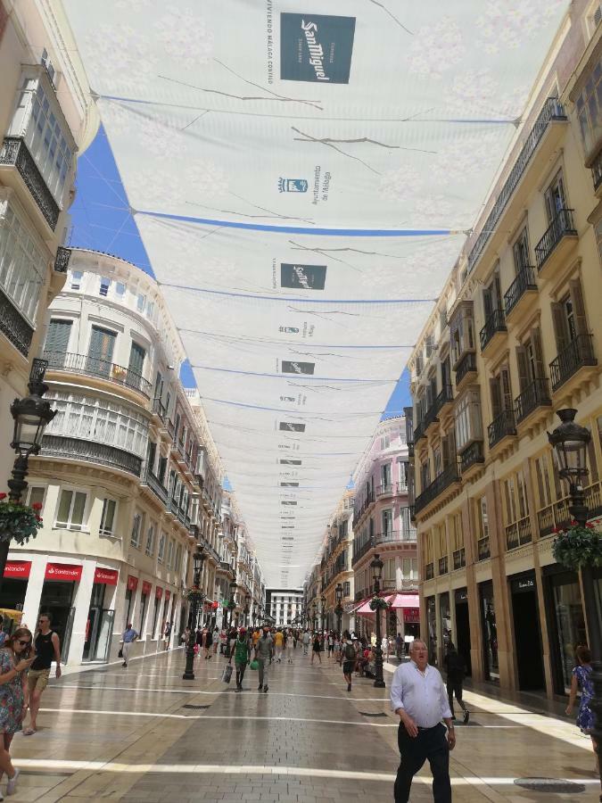 Apartamento Apartamento Con Encanto Larios Street *