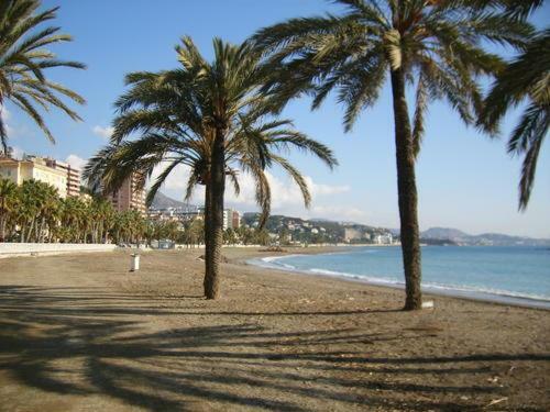 Apartamento Encantador Bajo En Málaga