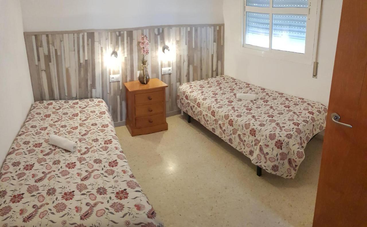 Ficus Сasa de vacaciones