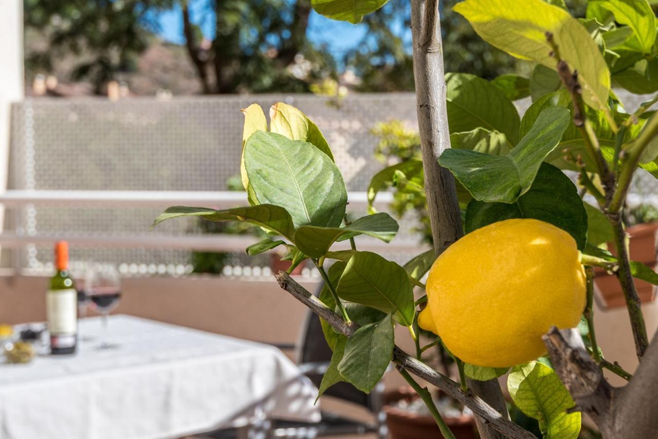 Casa Limonar Apartment Malaga